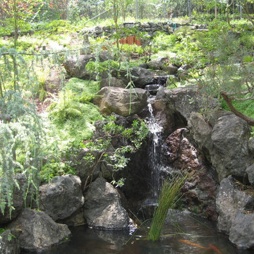 Asian Inspired Garden