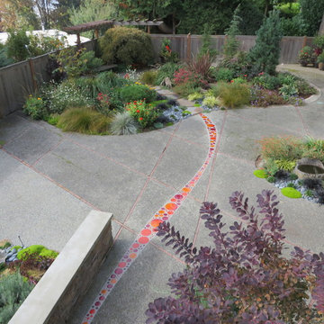 Mercer Island Swimming Pool Infill