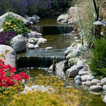 Water Features & Spas