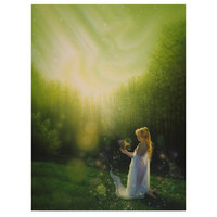 Kirk Reinert 'Celestial Friends' Canvas Art, 32"x24"