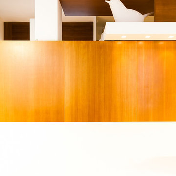 Studio Ricrea