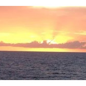 Donny Wallace's photo
