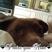 Lisa Berendt's photo