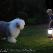 Gerald Holcombe's photo