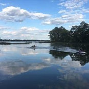 Sarah Bailey's photo