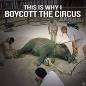 Francesca Kohler's photo
