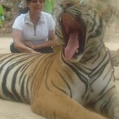 Foto von Moina Singh