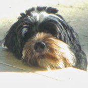 Michael Fox's photo