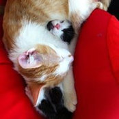 Asuman İlkiz's photo