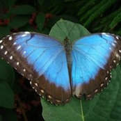 Gabrielle McLaughlin's photo