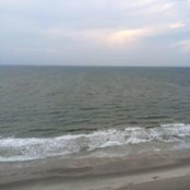 Crystal Blevins's photo