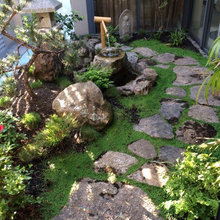 Japanese Garden