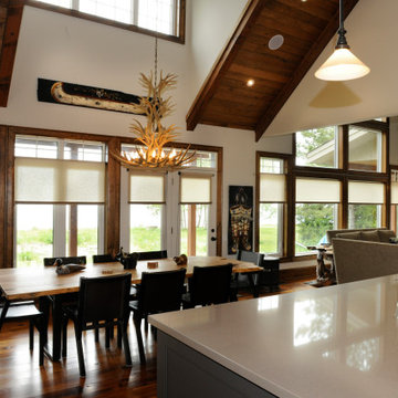 Roller Shades
