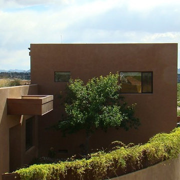 entry courtyard vines and rooftop grasses and Rillito beyond