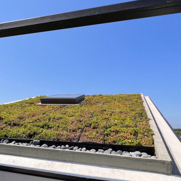 Borough Park Modern Rooftop