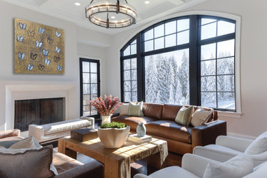 Inspiration for a transitional living room remodel in Cleveland