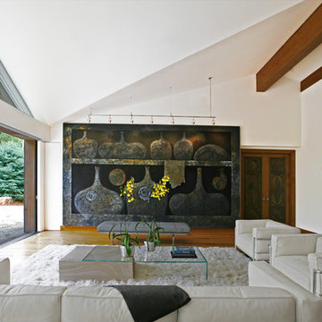 Lake View Contemporary