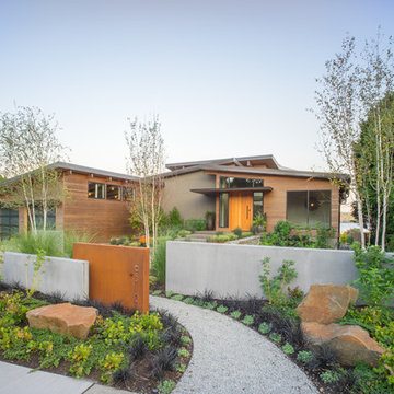 Lakeside Modern