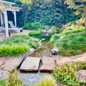 Custom Yard Remodel