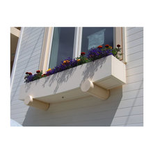 WINDOW FLOWERS***********
