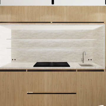 Modern Kitchen Cabinetry Miami