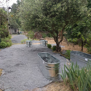 Galvanized Tank Raised Beds & Landscaping