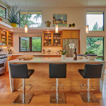 Woodinville Renovation