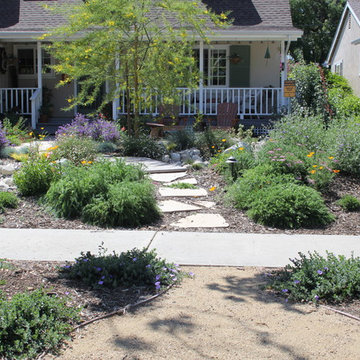 Drought Tolerant Gardens