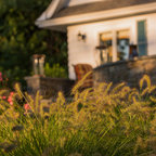 Ranch House Driveway and Front Entry Paving installation - Traditional