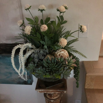 Custom Succulent Arrangements
