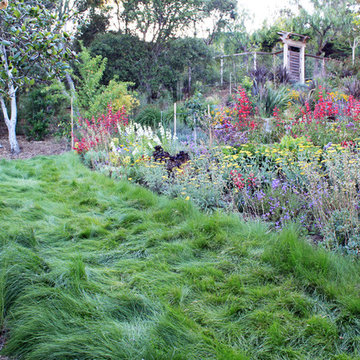 Mill Valley Hillside Garden