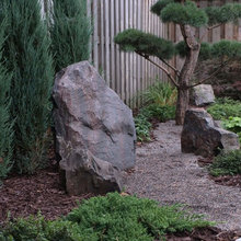 Landscape Ideas