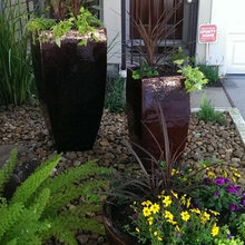 front yard