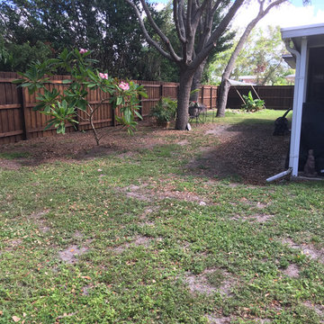 Before the transformation