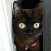 Kathy Juliani's photo