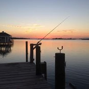 Steve Bennett's photo