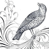 Jennifer Mueller's photo
