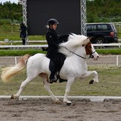 Ásta Björnsdóttir's photo