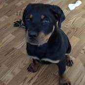 Heather Alexander's photo