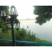 Nancy Kobilo's photo