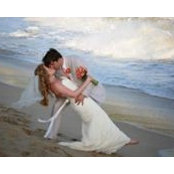 Melissa McNeil's photo