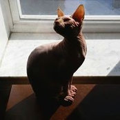 Kelli Michaels's photo