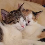 Larry Goding's photo
