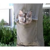 Lucy Lee's photo