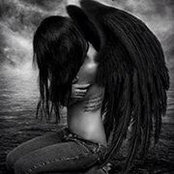 Debi Breshears's photo