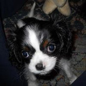 Leanne Shadforth's photo