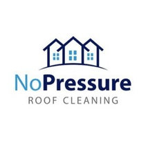 No Pressure Roof Cleaning