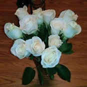 Cheryl Peters Blom's photo