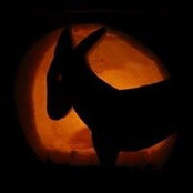 Jackie Hall's photo