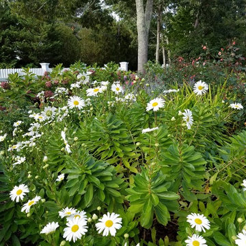 Fall gardens